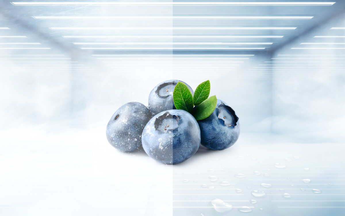 TCL C387BF Refrigerator Ultra Silent