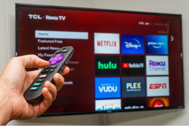 Understanding your TCL Roku TV's buttons and ports