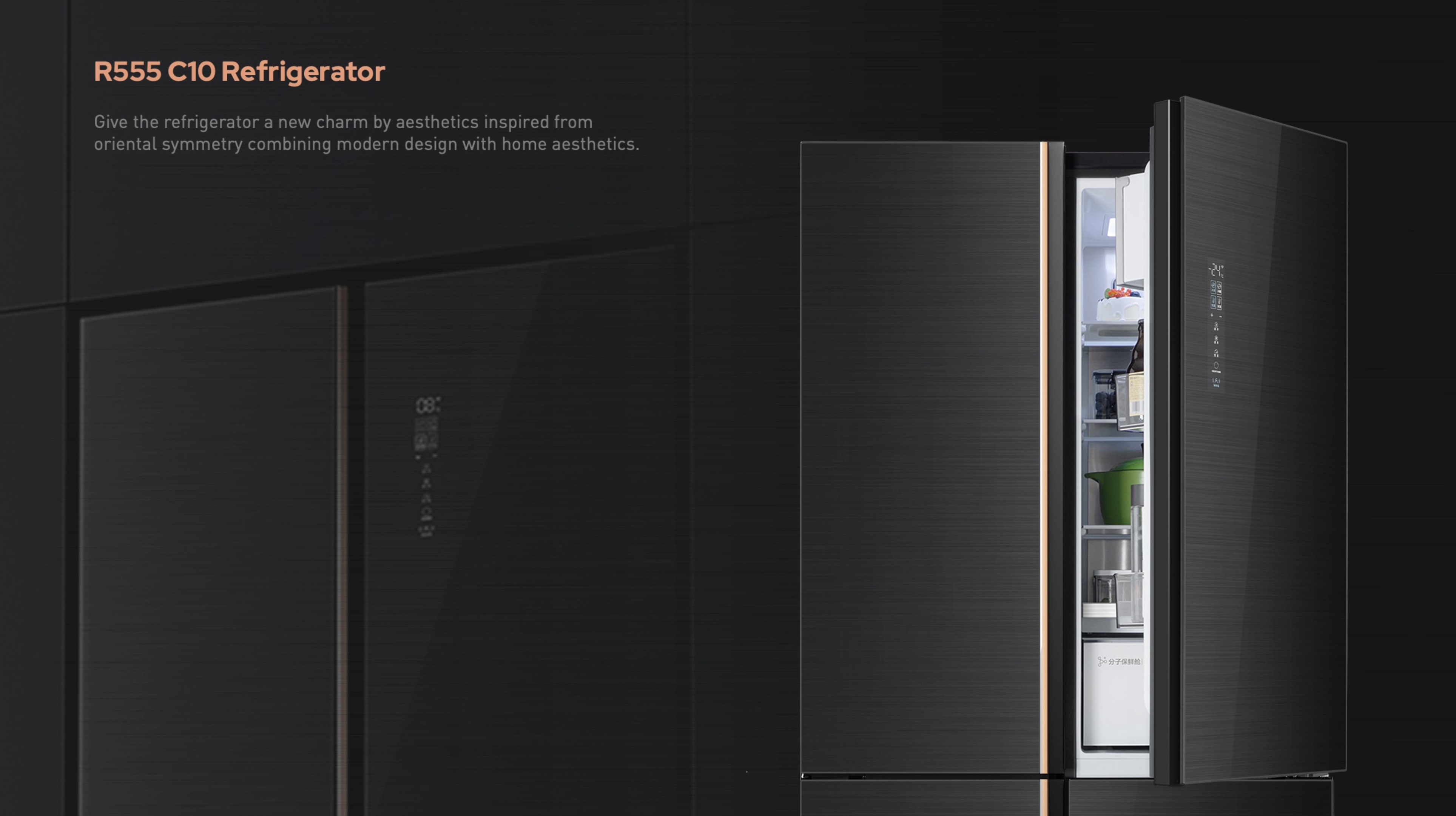 R555 C10 Refrigerator