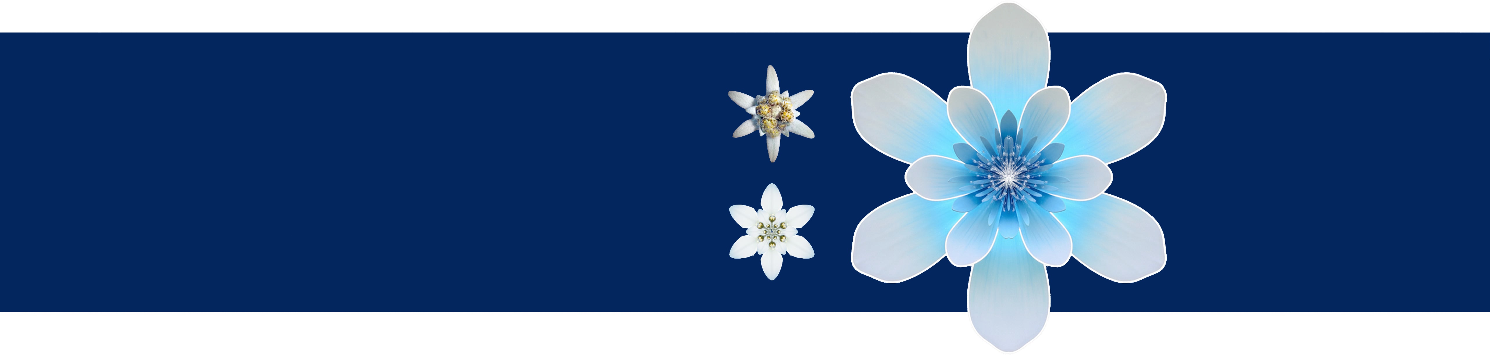 background-image