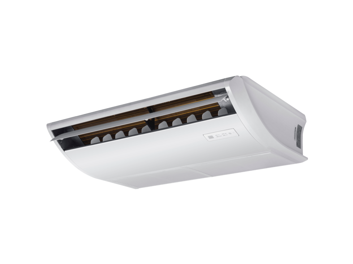 Celling & floor Picture 1