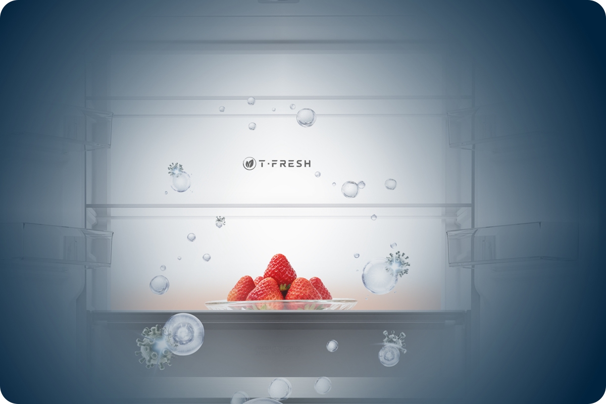 TCL Refrigerator C508CD T-Fresh Hygienic Way to Keep Fresh Longer