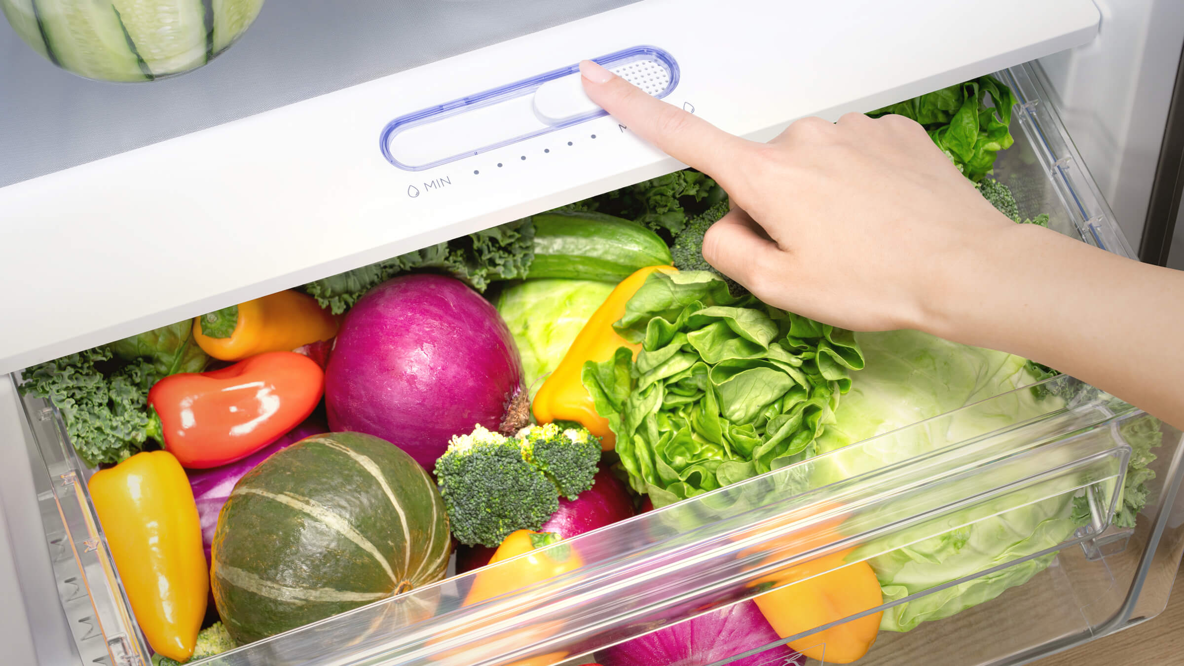 TCL P286TM Refrigerator Humidity Slider Crisper