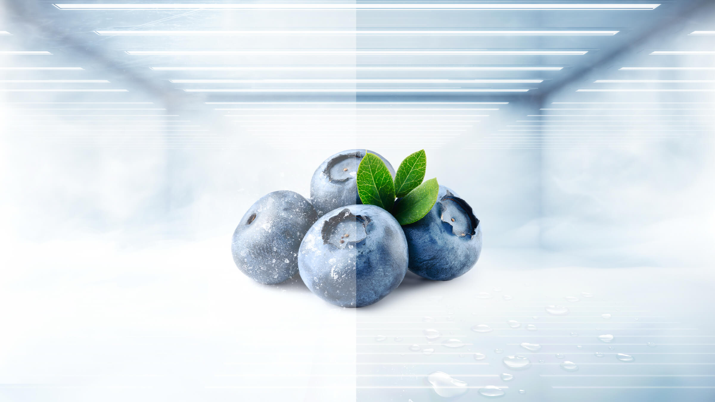 TCL P249TM Top Mount Refrigerator Total no Frost