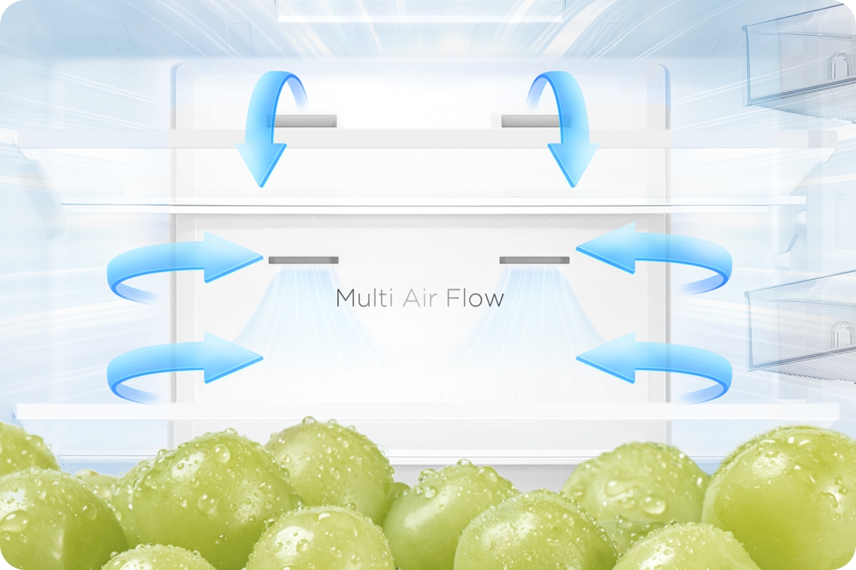 TCL C387BF Refrigerator Three temperature settings