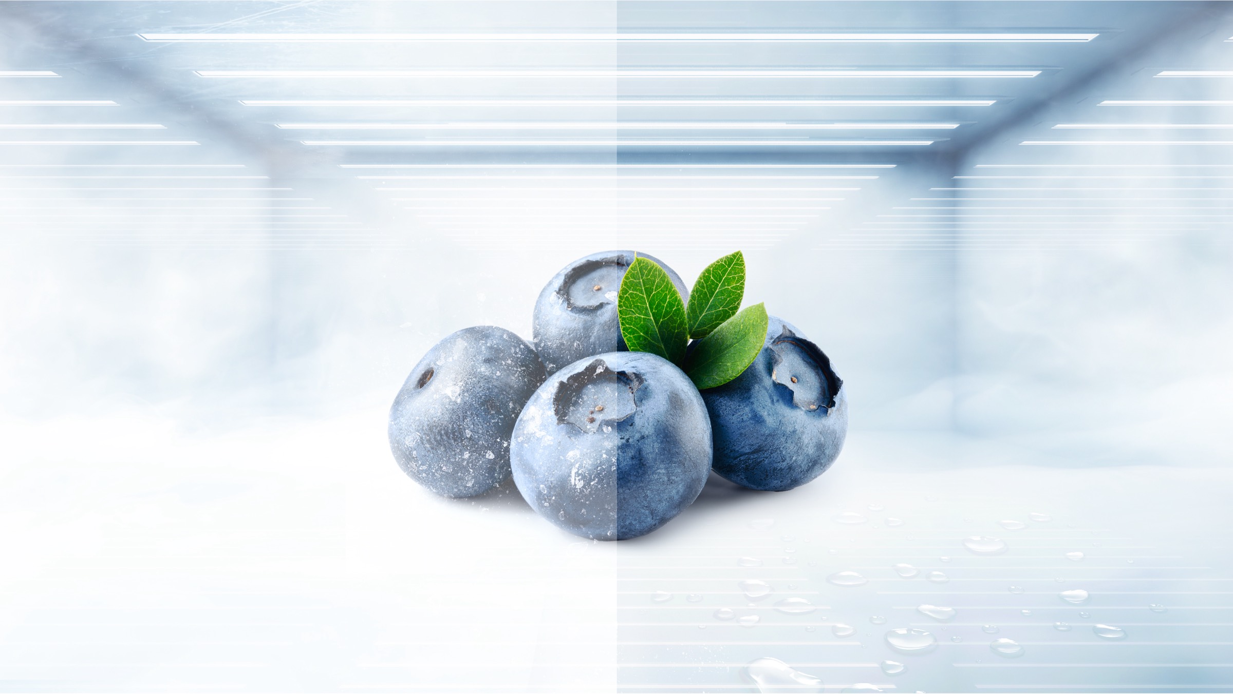 TCL P465TMD Top Mount Refrigerator Total no Frost