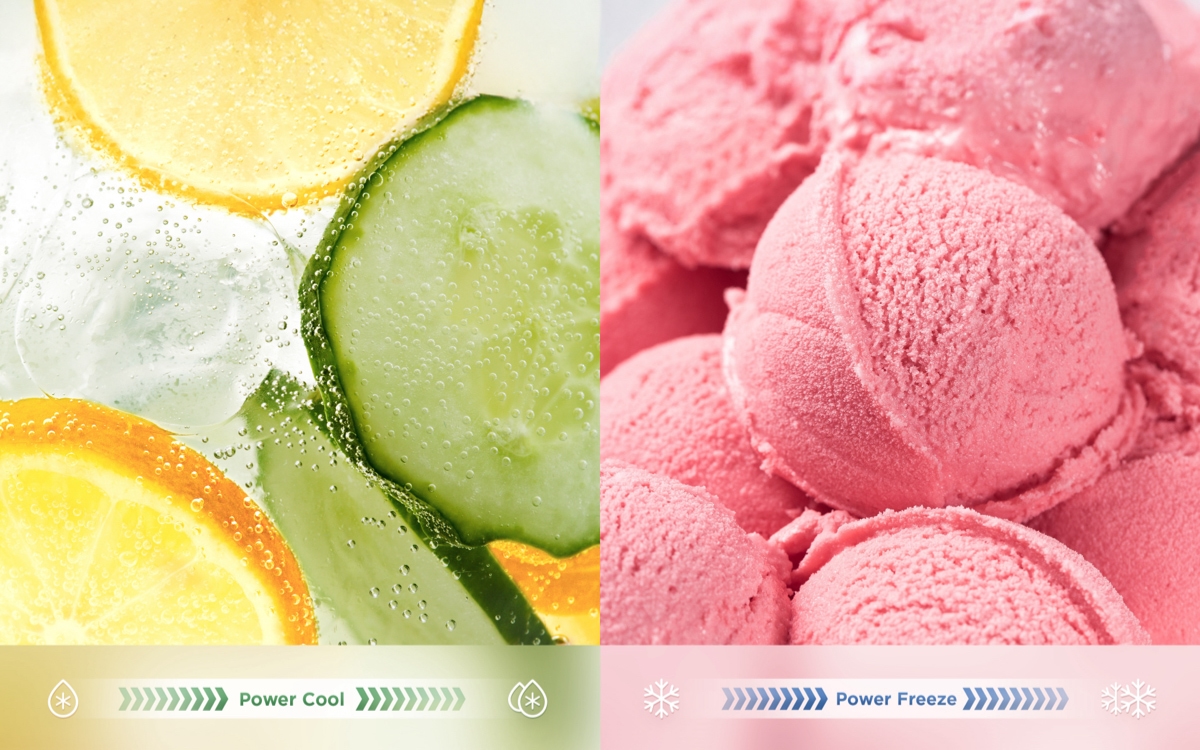 LETOU - ��Ͷ P595FD Refrigerator Power Cool & Freeze Function