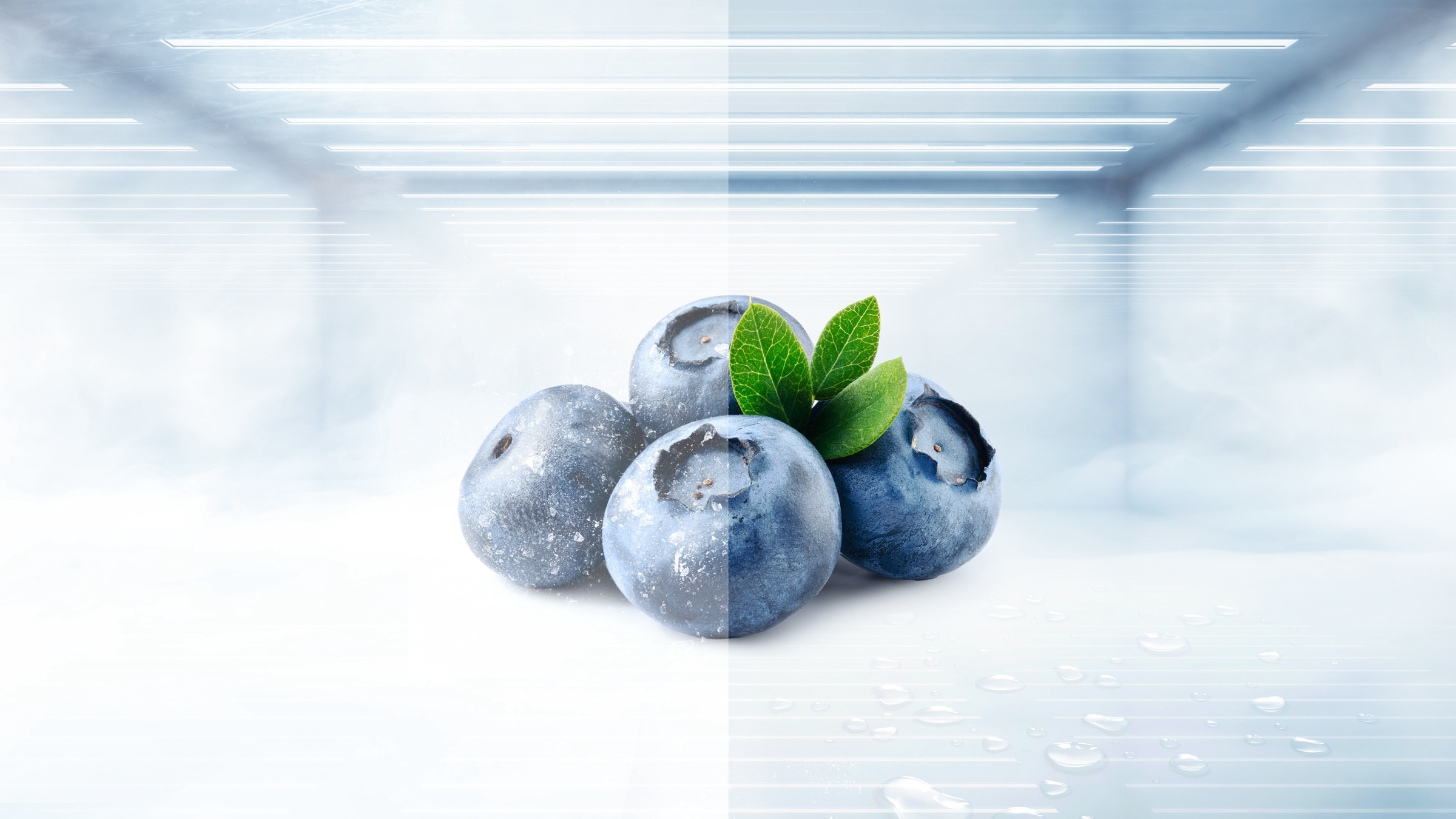 TCL P610CD Refrigerator Total no Frost