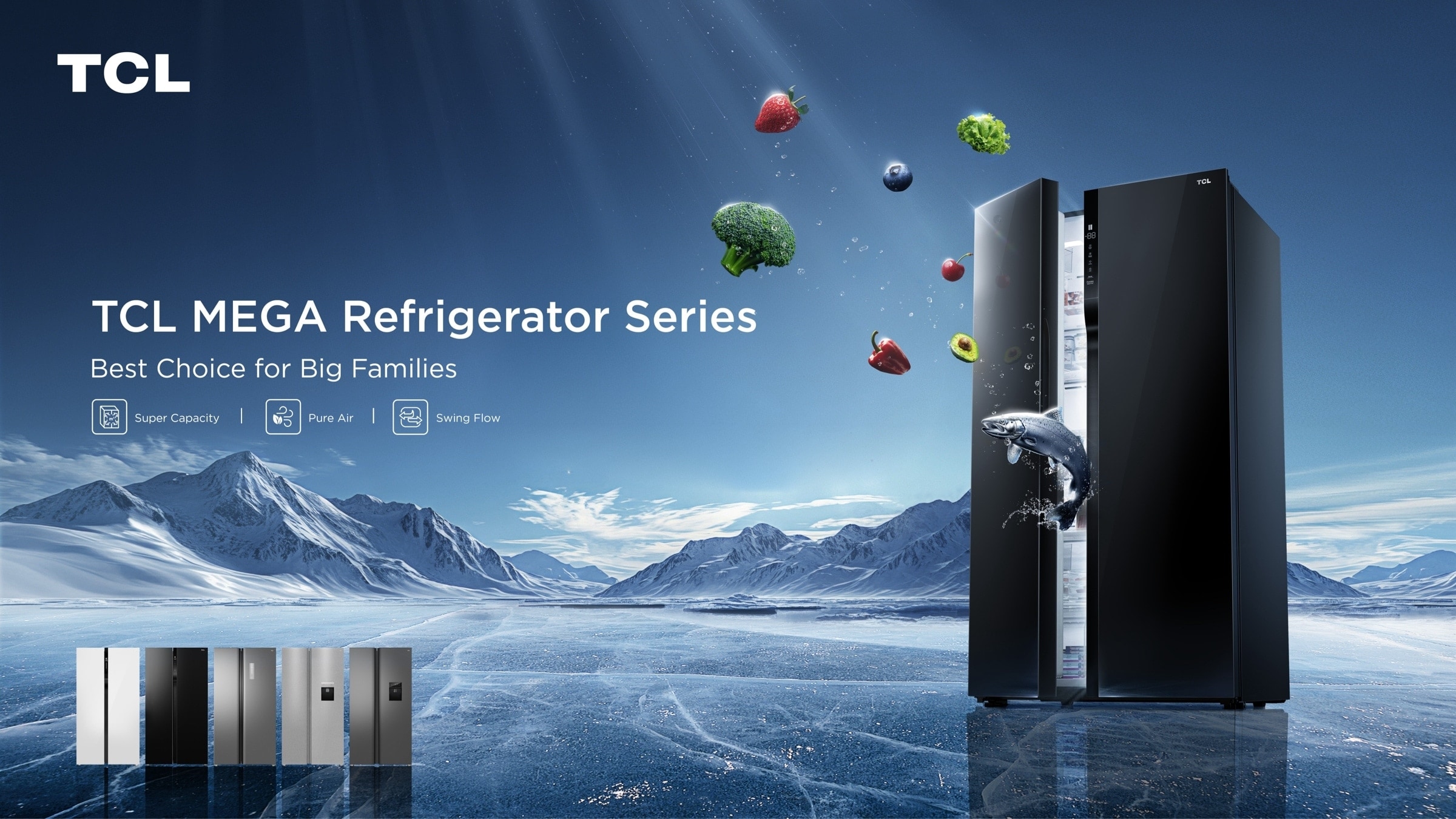 TCL C387BF-Bottom Freezer Refrigerator