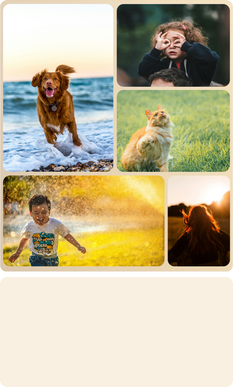 A300W  TV Customized Carousel