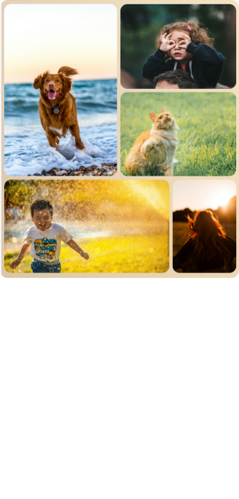 A300W  TV Customized Carousel