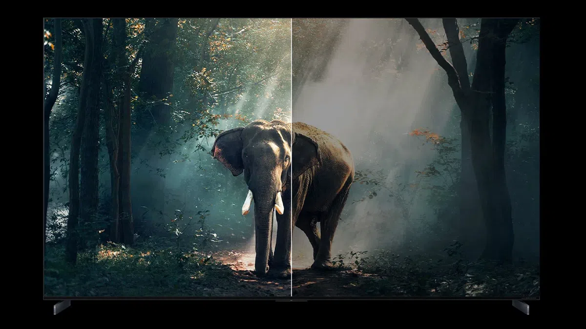 Восприятие яркости — Ai Contrast