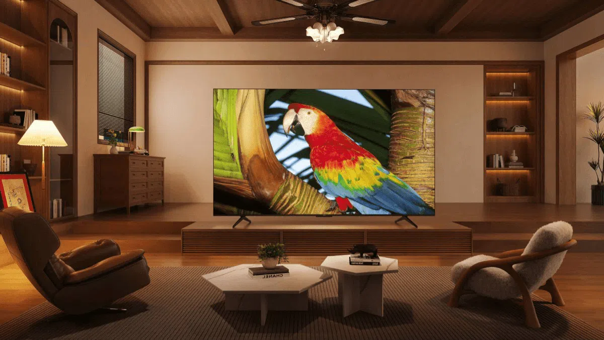 C655 Pro TV Liftstyle