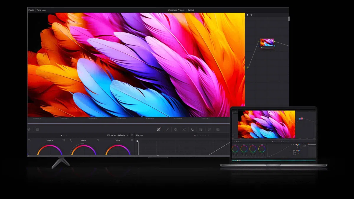 تلفزيون C655 دقة ألوان احترافية تبلغ ΔE<0.99