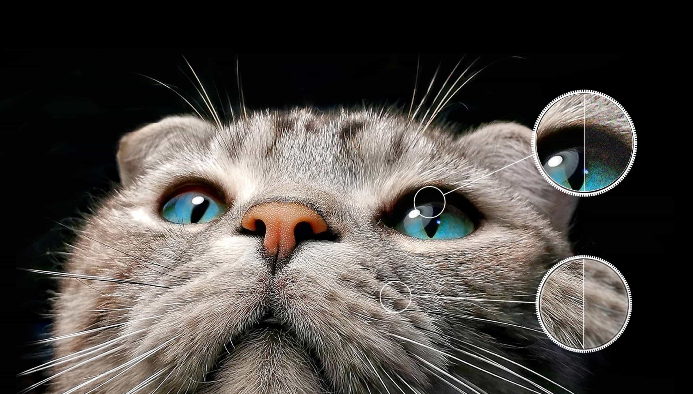 TCL C745 QLED TV AIPQ- AI Clarity