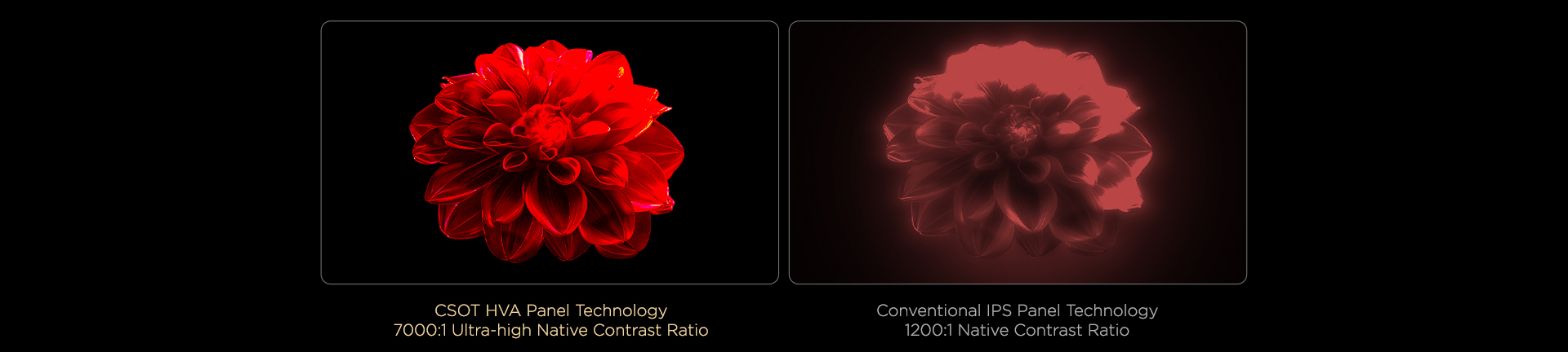 Up to 7000:1* ultra-high native contrast ratioטלוויזיה חכמה&nbsp;C8K Premium QD-MiniLED מבית TCL