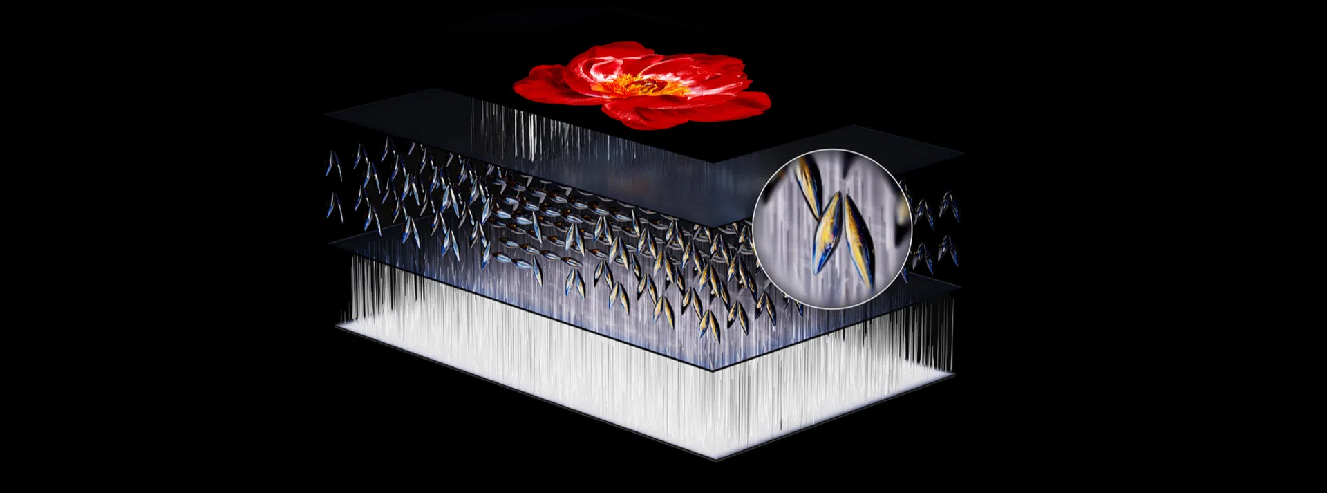 C8K TV Ultra visok nativni omjer kontrasta do 7000:1