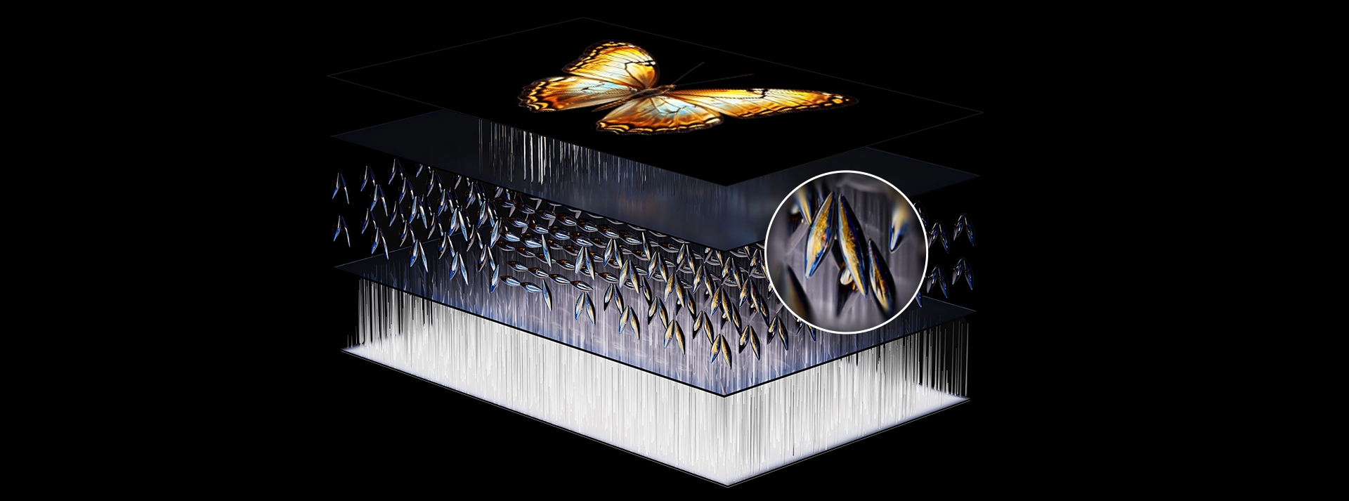 Up to 7000:1* ultra-high native contrast ratio