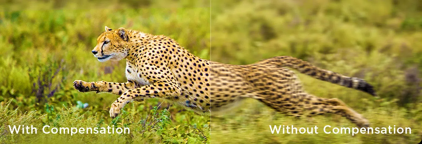 Motion Compensation