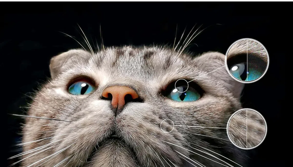 TCL TV P745 Ai-Clarity