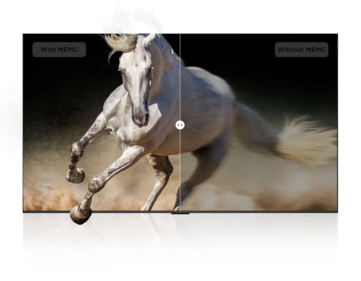 MEMC algorithm & Without MEMC