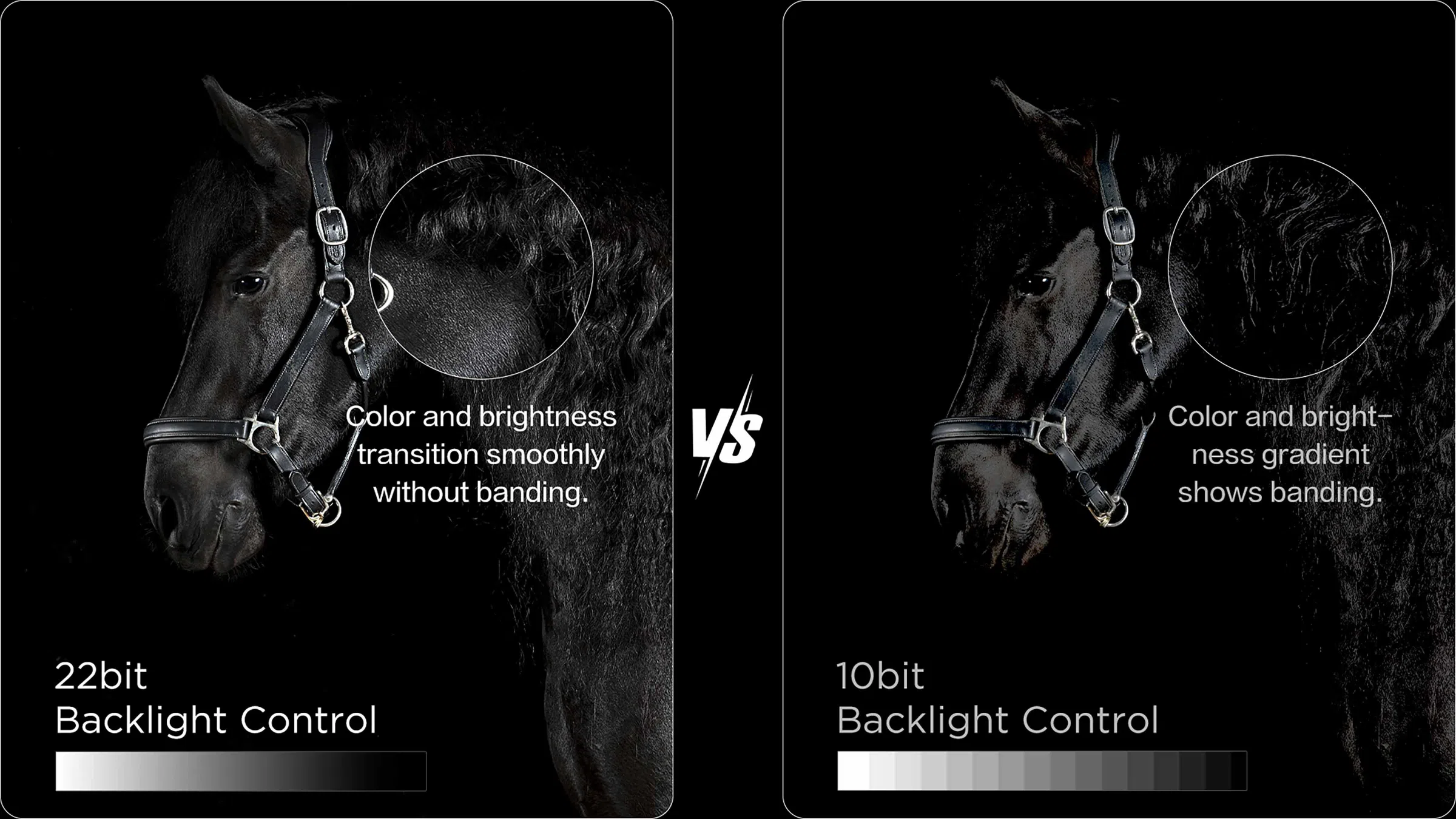 Contrôle du rétroéclairage 22 bits