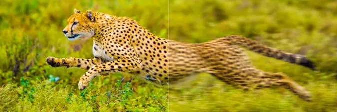 Motion Compensation vs without Compensation