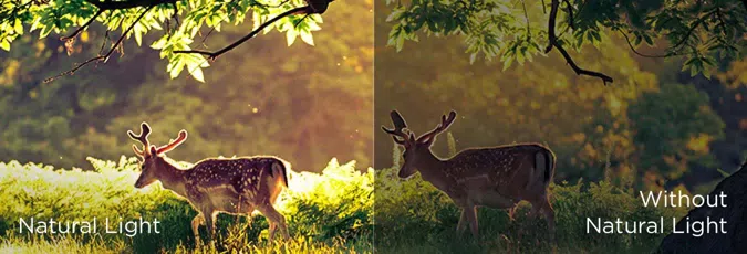 Çoklu Göz Bakımı - ortam ışığına uyarlanabilir