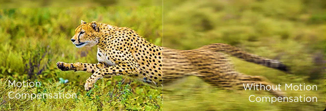 Multiple Eye Care-MEMC motion stabilization