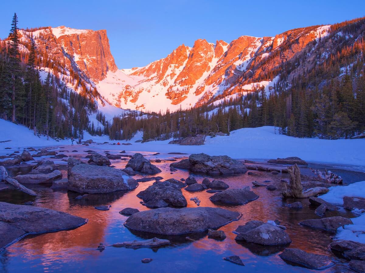 Revela una escena inmersiva