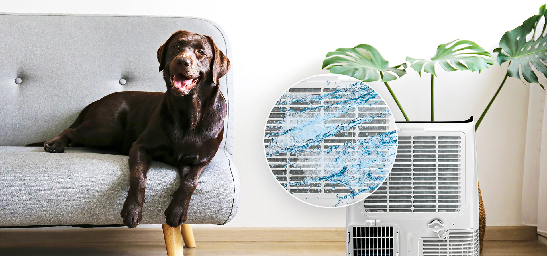 Portable Air Conditioner Functions from TCL Australia