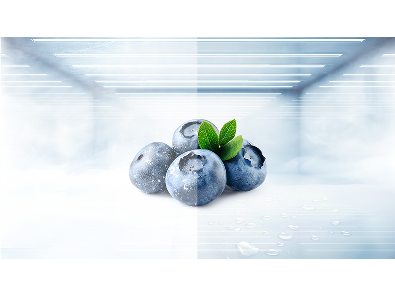 Hassle-Free Freshness, Every Day