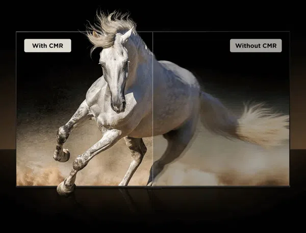 C655 Pro TV'nin MEMC algoritması