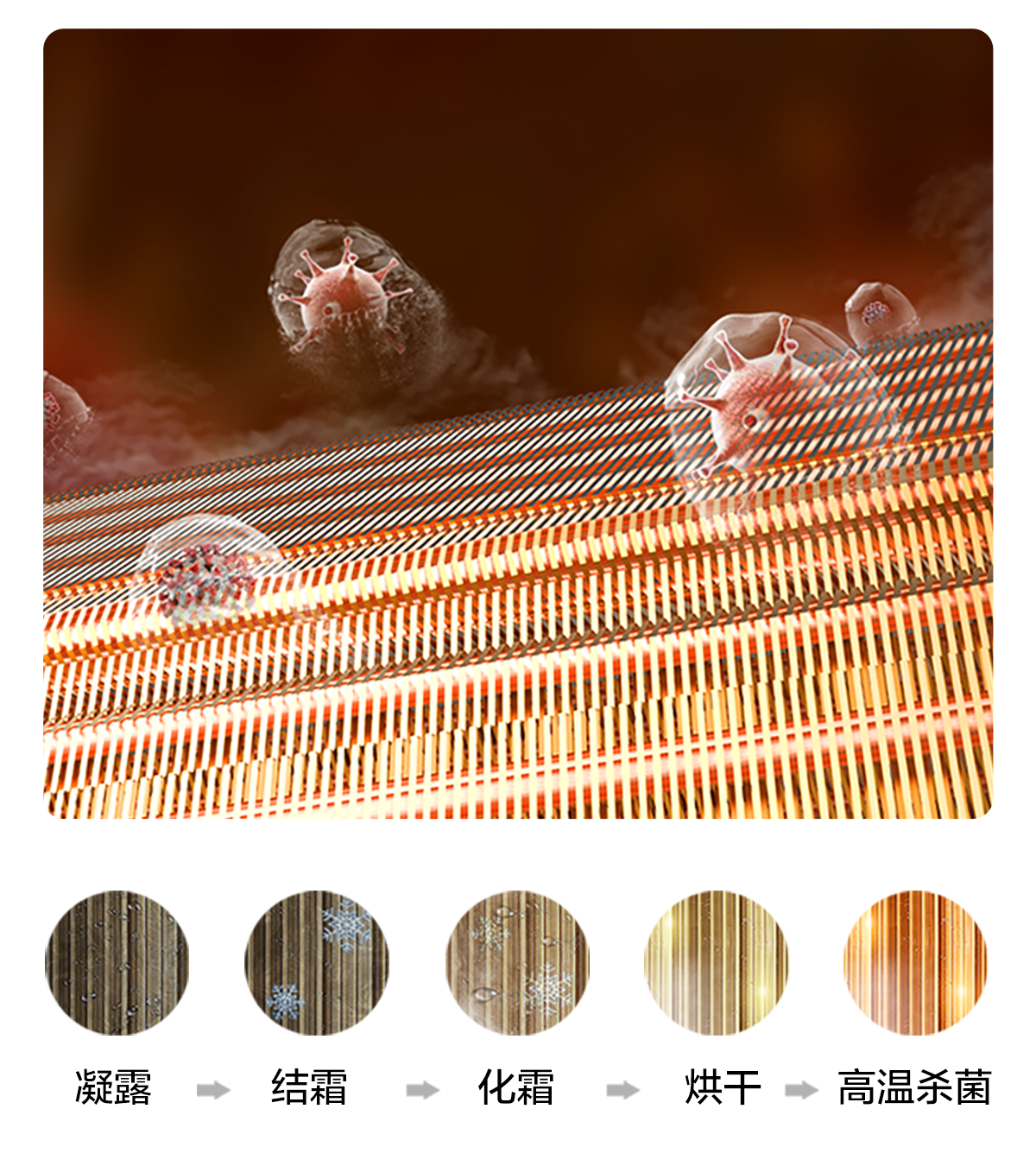 TCL1.5匹新风空调挂机 舒适版