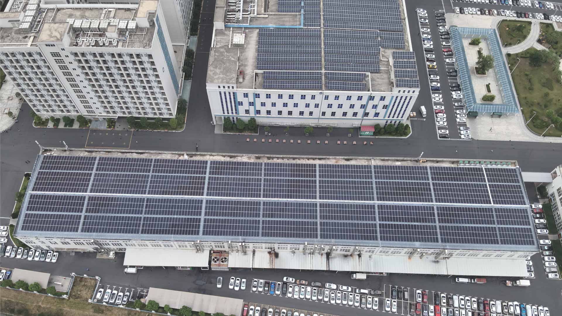 ������Ѷ 