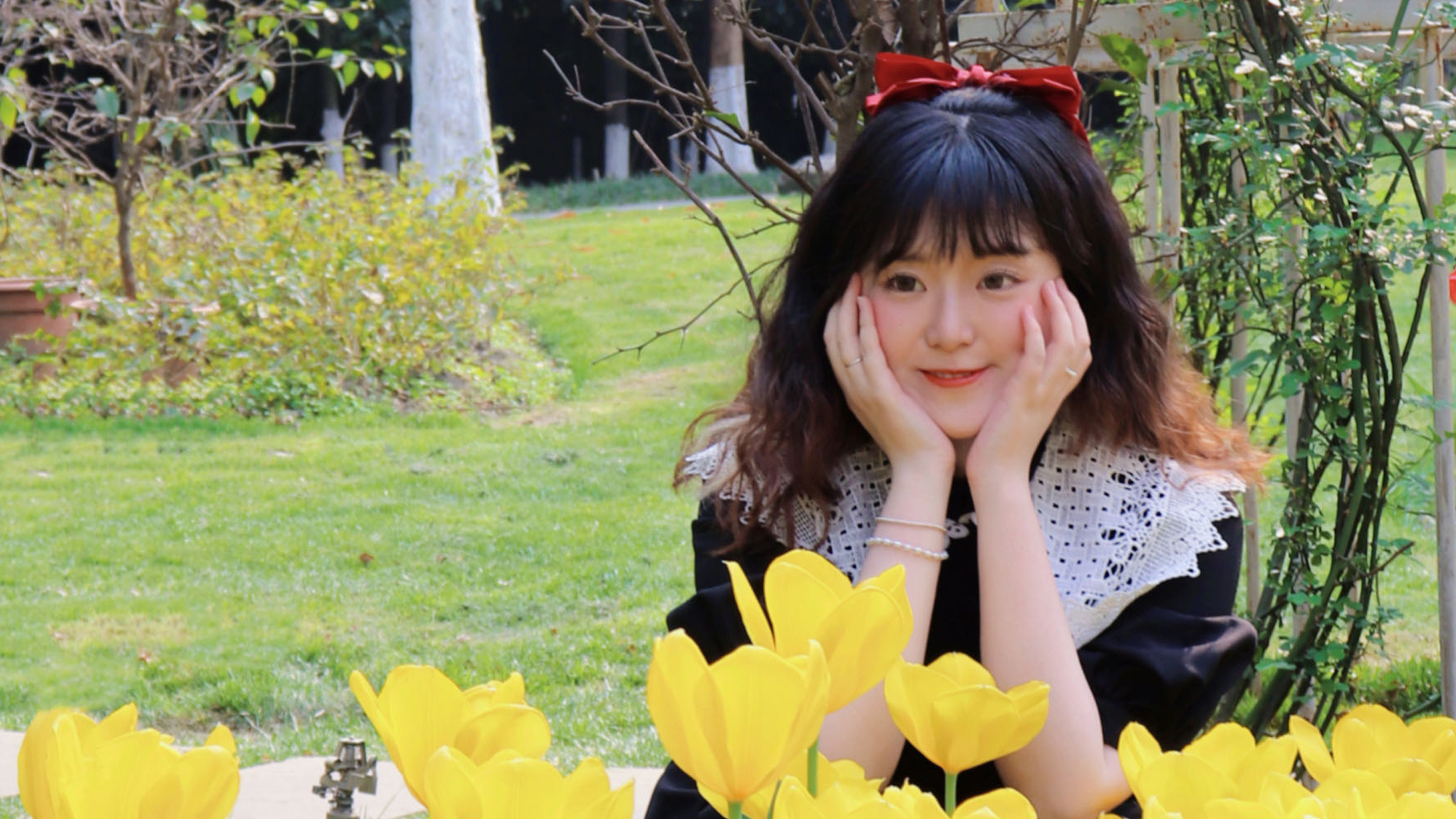 TCL 双子舱Q10洗衣机，用魔法打败魔法！