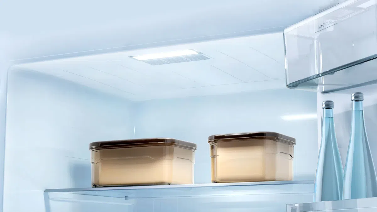 TCL 286 Litres Top Mounted Refrigerator P370TMS