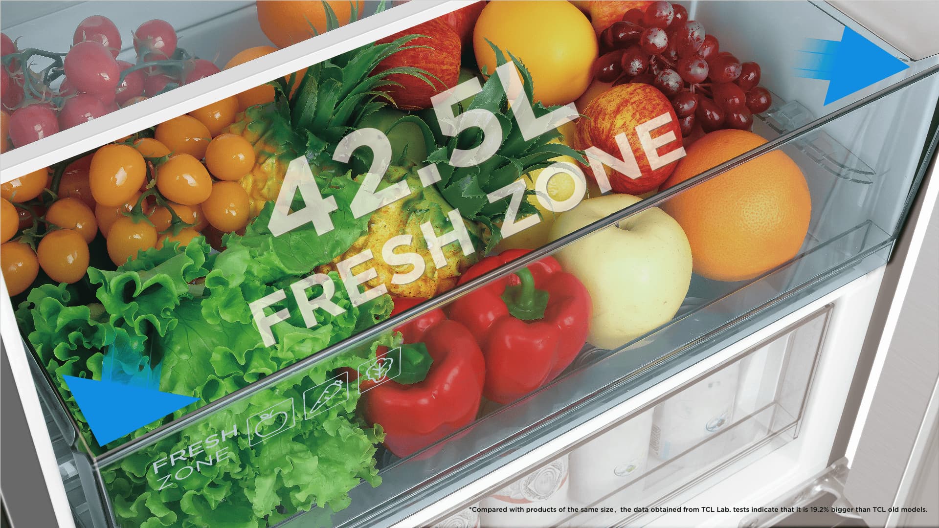 Bottom Freezer RP456BID0 Refrigerators - TCL Europe