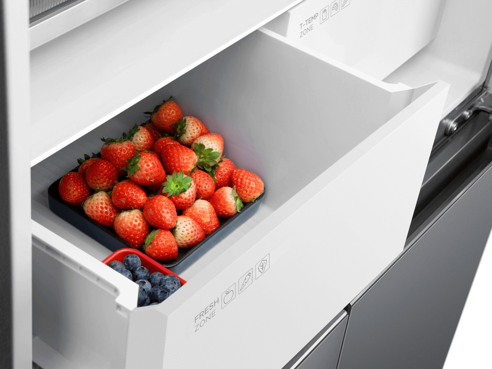 Free Built-in Series Refrigerator RC521CXE0 - TCL Europe