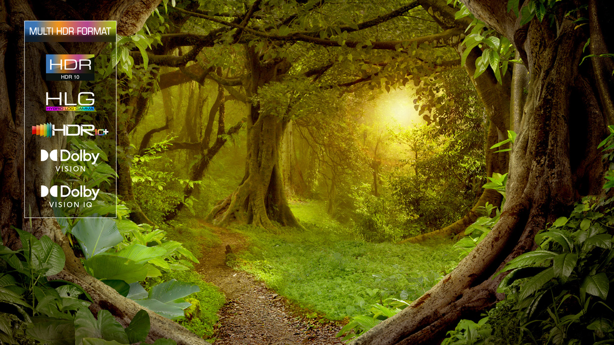 HDR MultiFormat : stunning HDR whatever the source