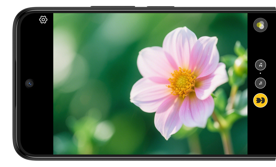 TCL 605 Detail-revealing shooting