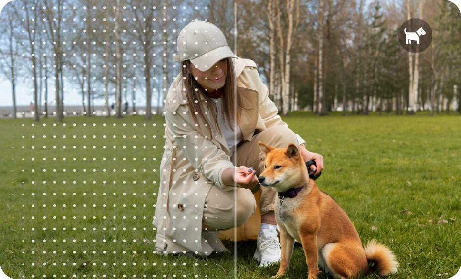 TCL 605 AI scene detection