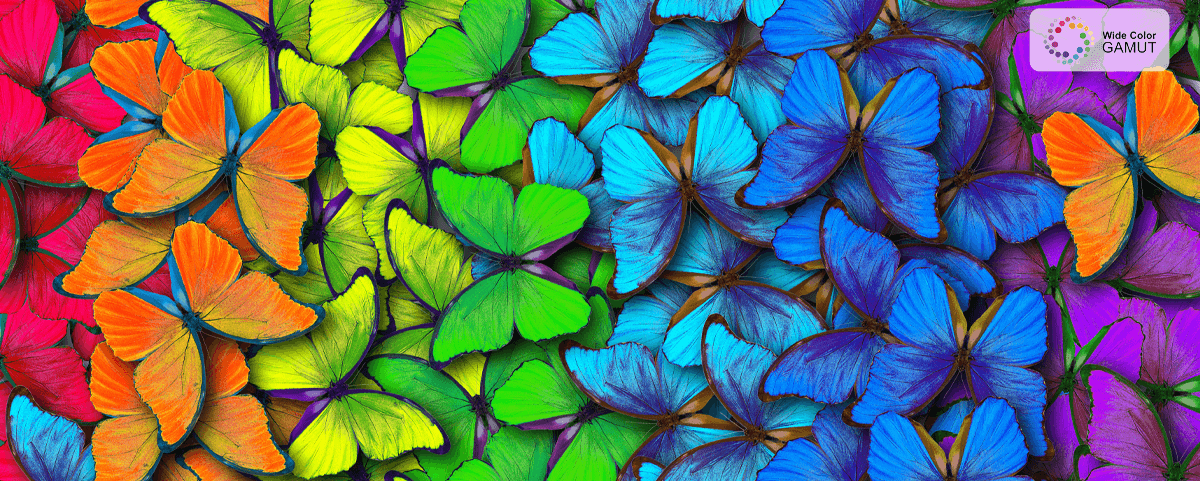 TCL c635 Wide Color GAMUT