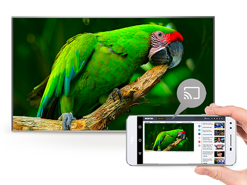 TCL c636 クロームキャスト機能内蔵