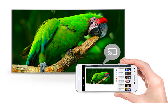 TCL C645 Chromecast built in