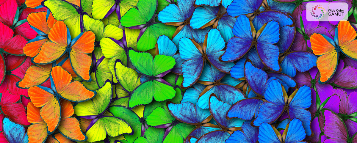 TCL c735 WCG technology 