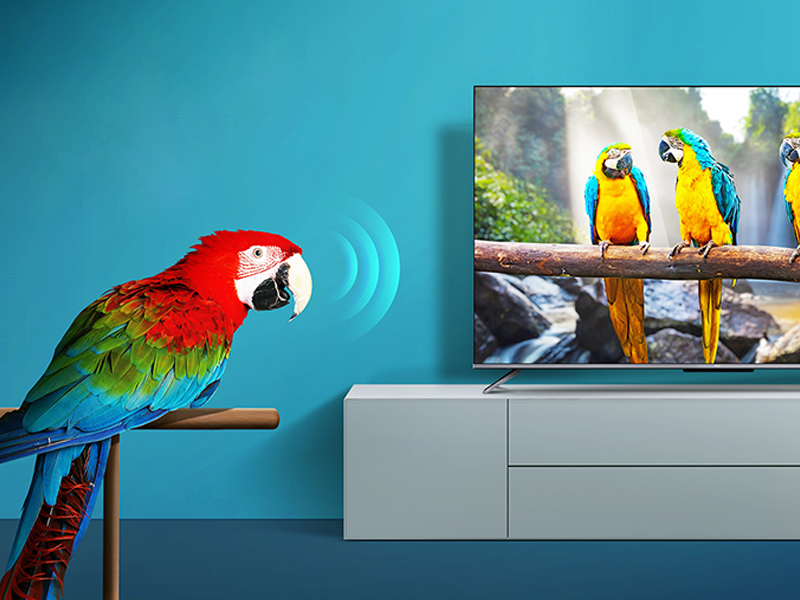 TCL C646 4K量子ドット液晶テレビ