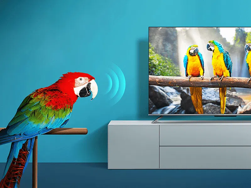 写真追加」 TCL C845 (55型) 20230511172606_806_.jpg 写真追加」 TCL C845 (55型) 20230511172606_806_.jpg