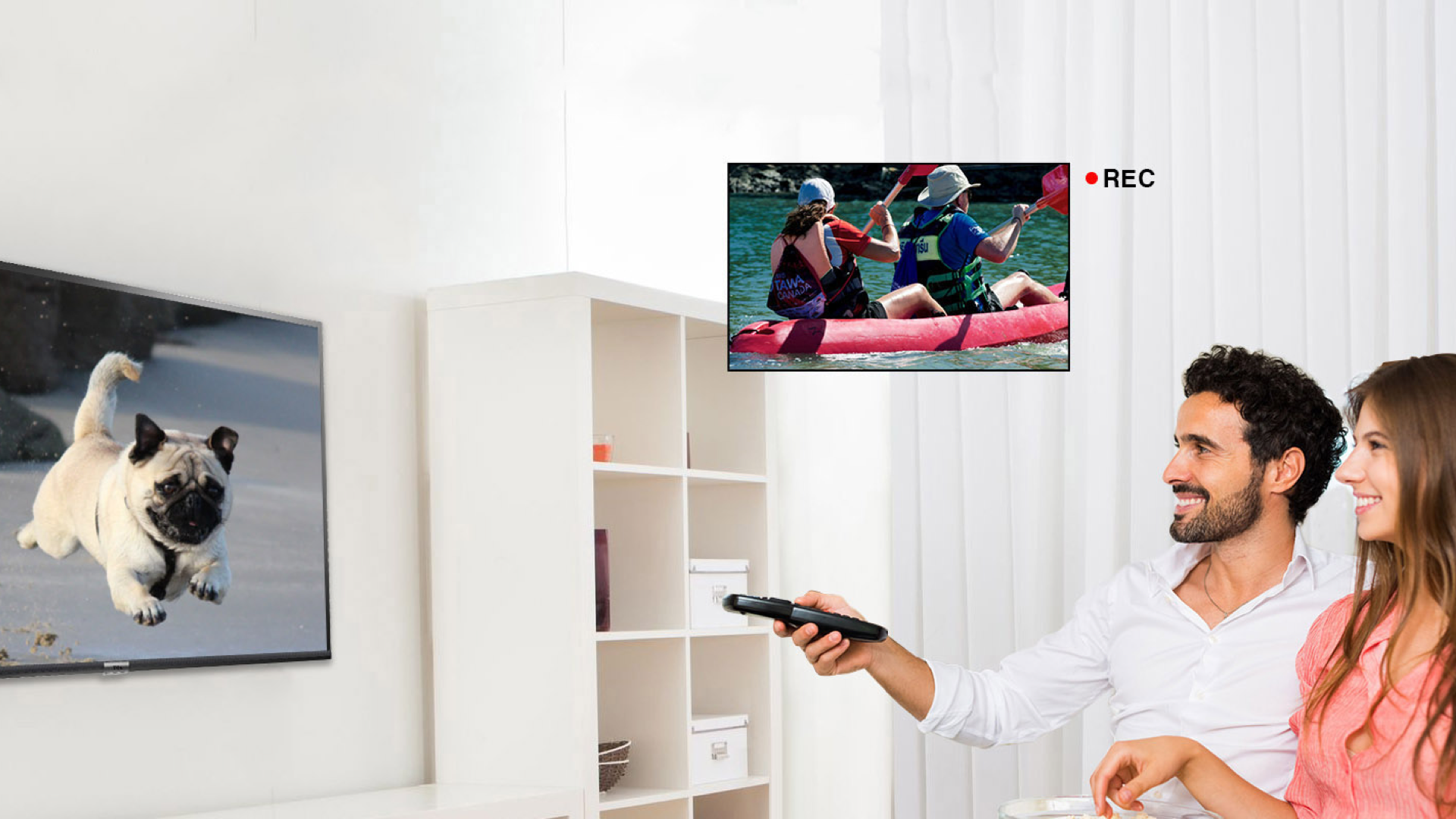 TCL D200シリーズ-高画質テレビ-液晶テレビ-TCLジャパン