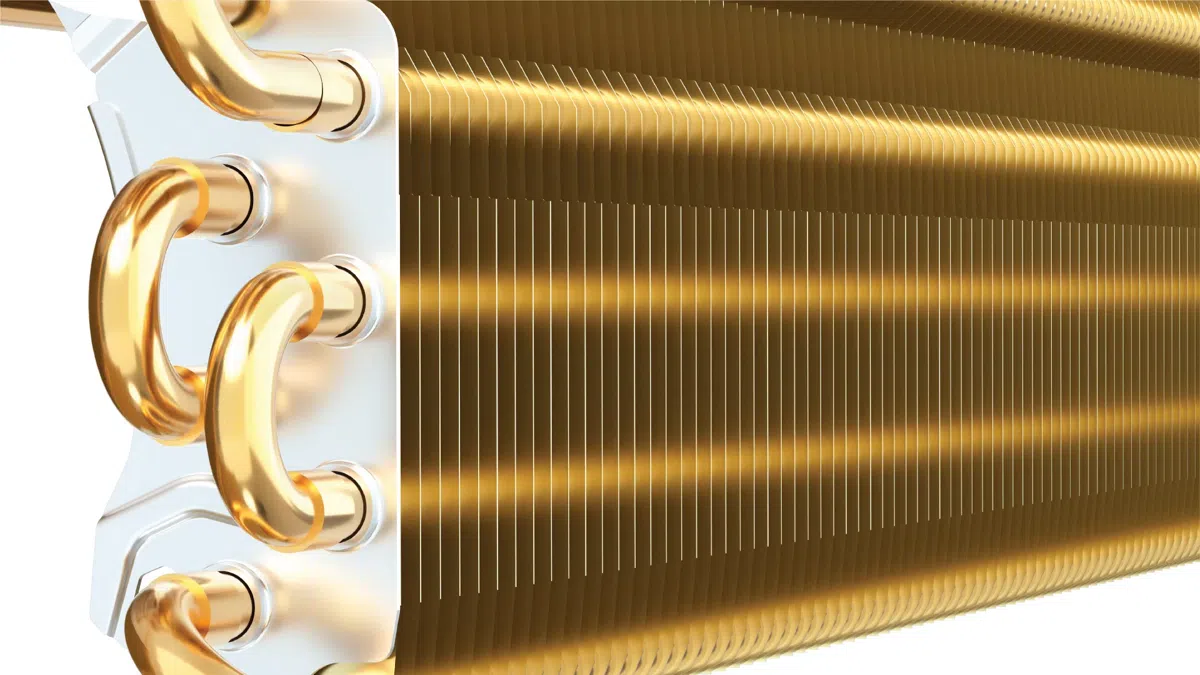 Golden Fin
